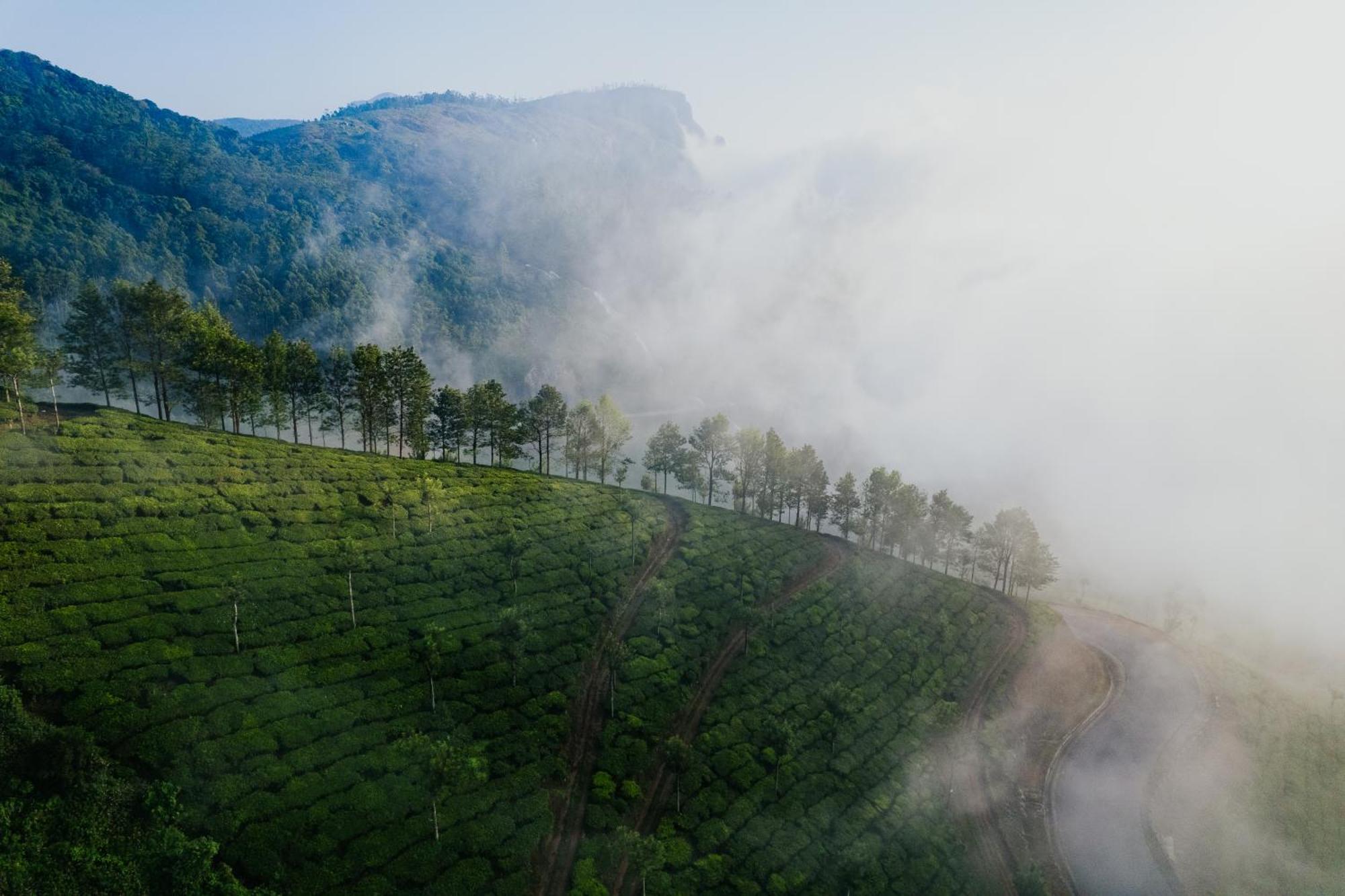 Misty Courtyard Resort Chinnakanal Bagian luar foto
